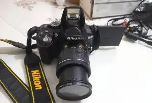 stock