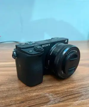 stock