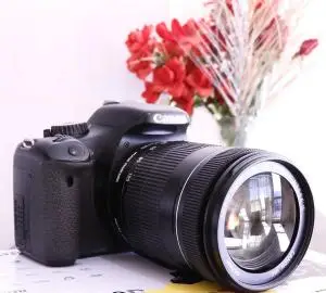 stock