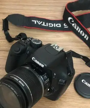 stock