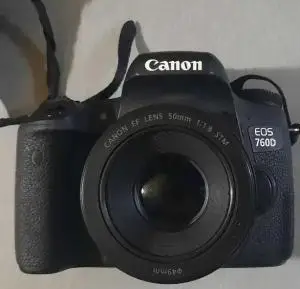stock