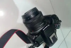 stock