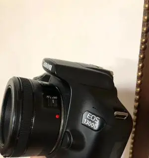 stock