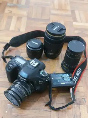 stock