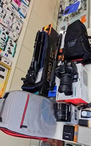 stock