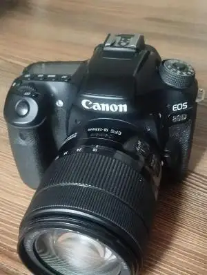 stock
