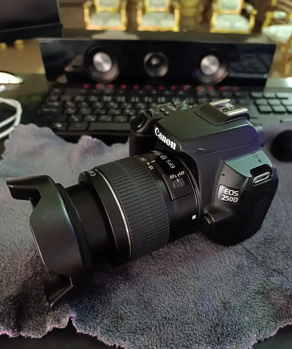 دوربین canon 250D دست دو