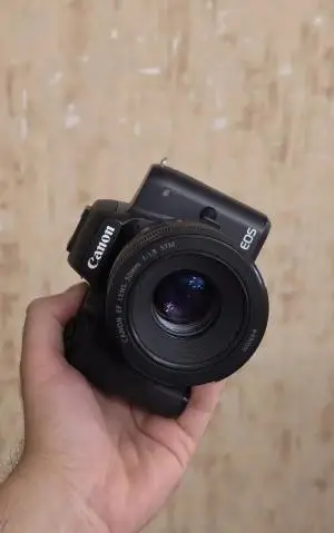 stock