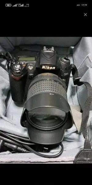 stock
