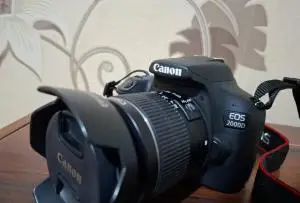 stock