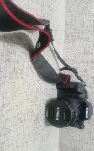 stock