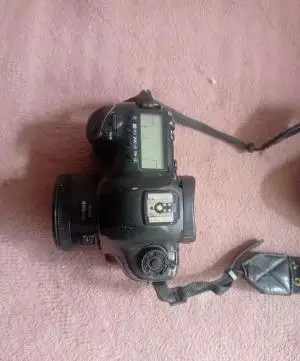 stock