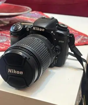 stock
