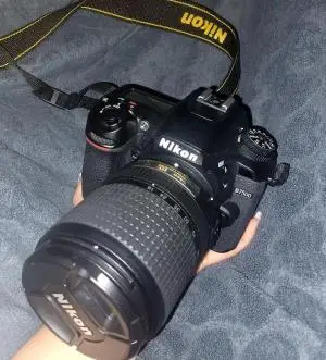stock