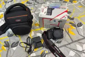 stock