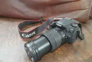 stock