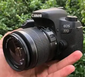 stock