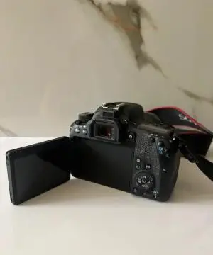 stock