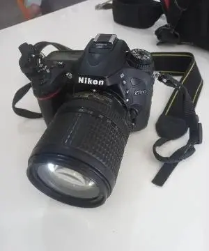 stock