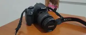 stock