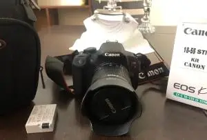 stock