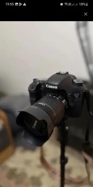 stock