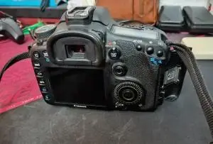 stock