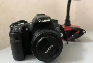 stock