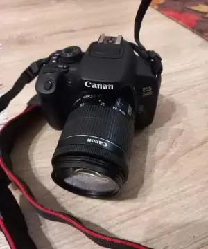 stock