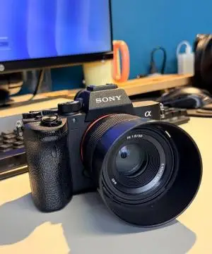stock