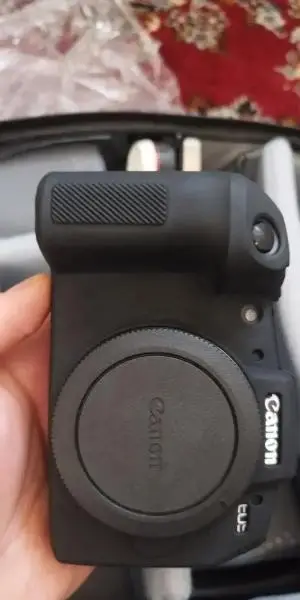 stock