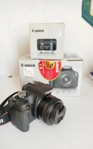 stock