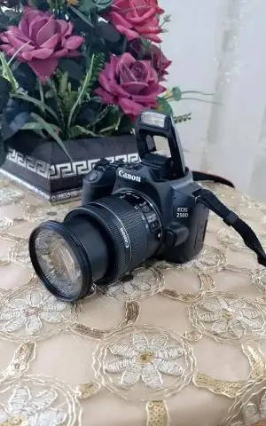 stock