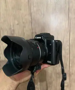 stock