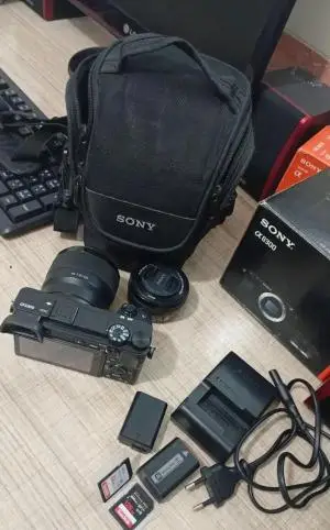 stock