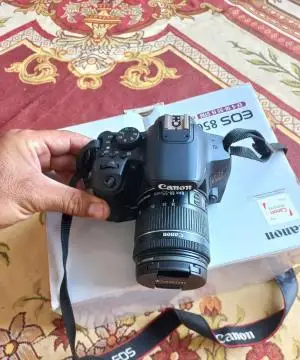 stock