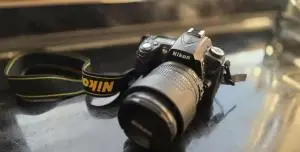 stock