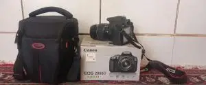 stock