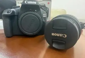 stock
