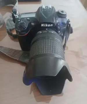 stock