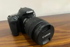stock
