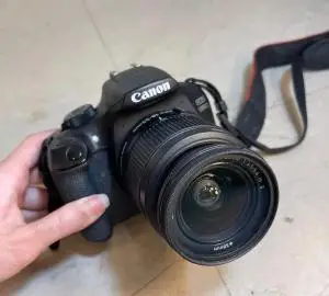 stock