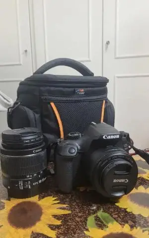 stock