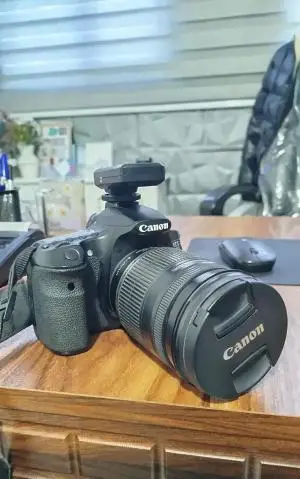 stock