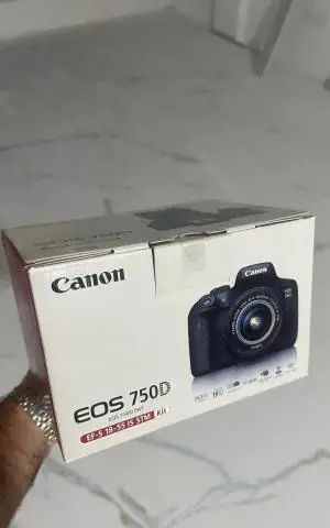 stock