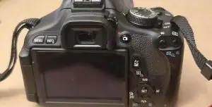 stock