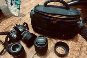 stock