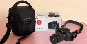 stock