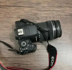 stock