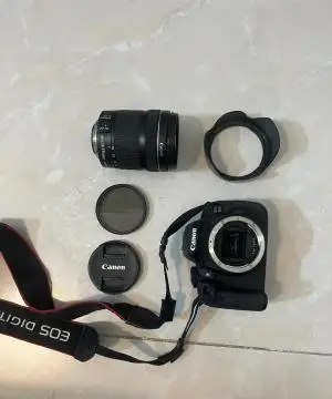 stock